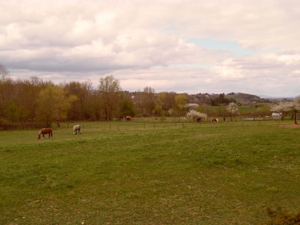 Vue ouest, monts du Lyonnais